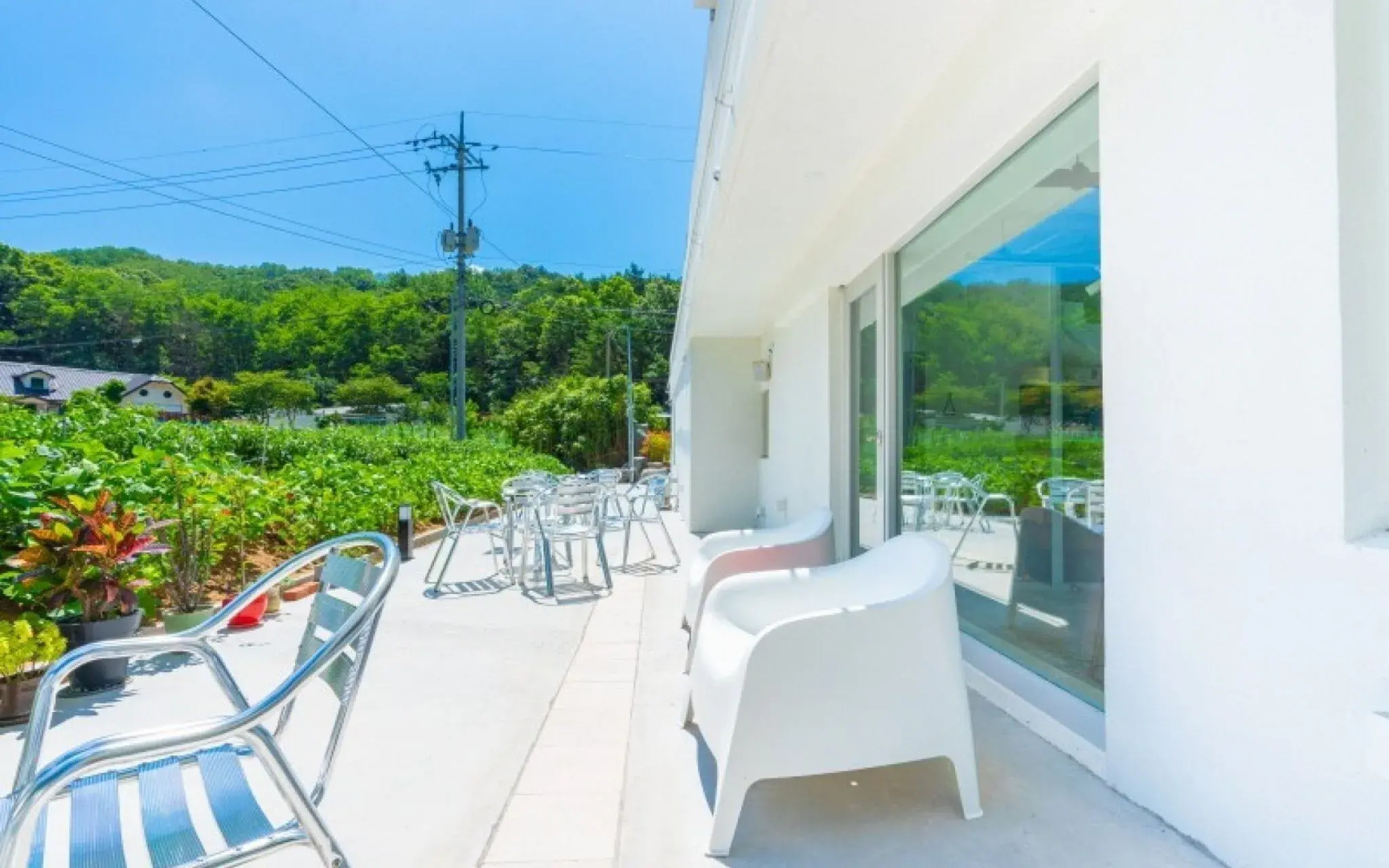 The Adventures of Tom Sawyer