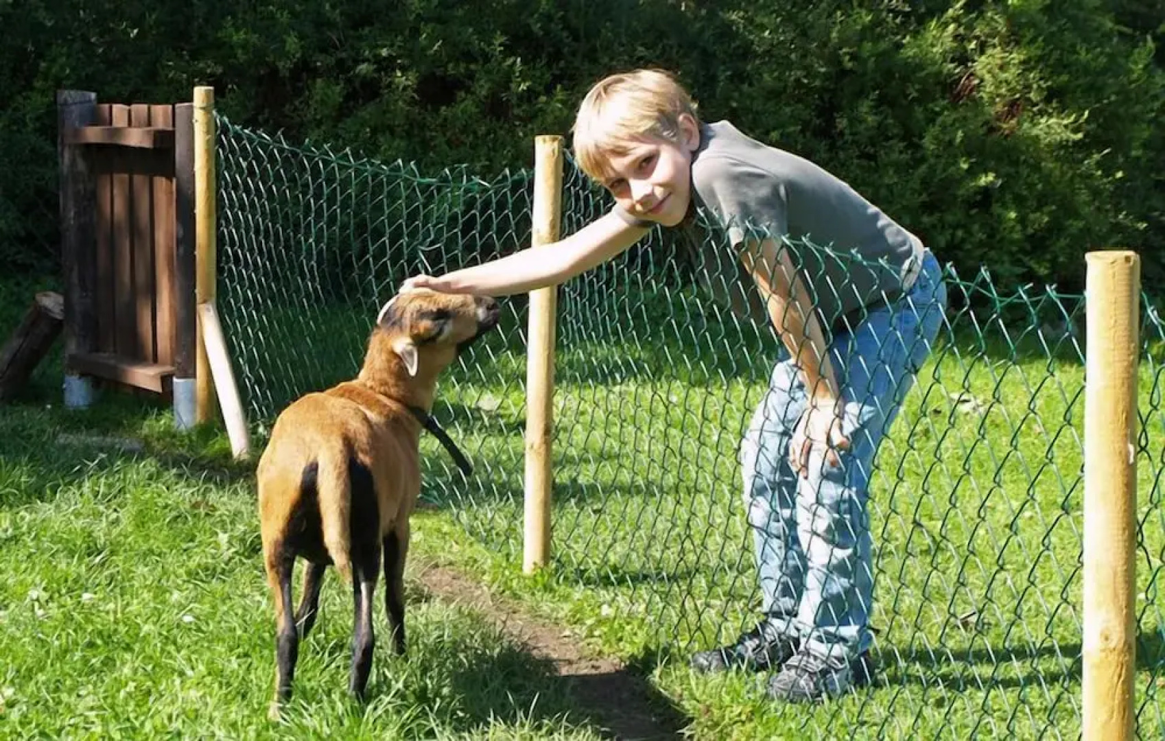 Familien- & Aparthotel Strandhof