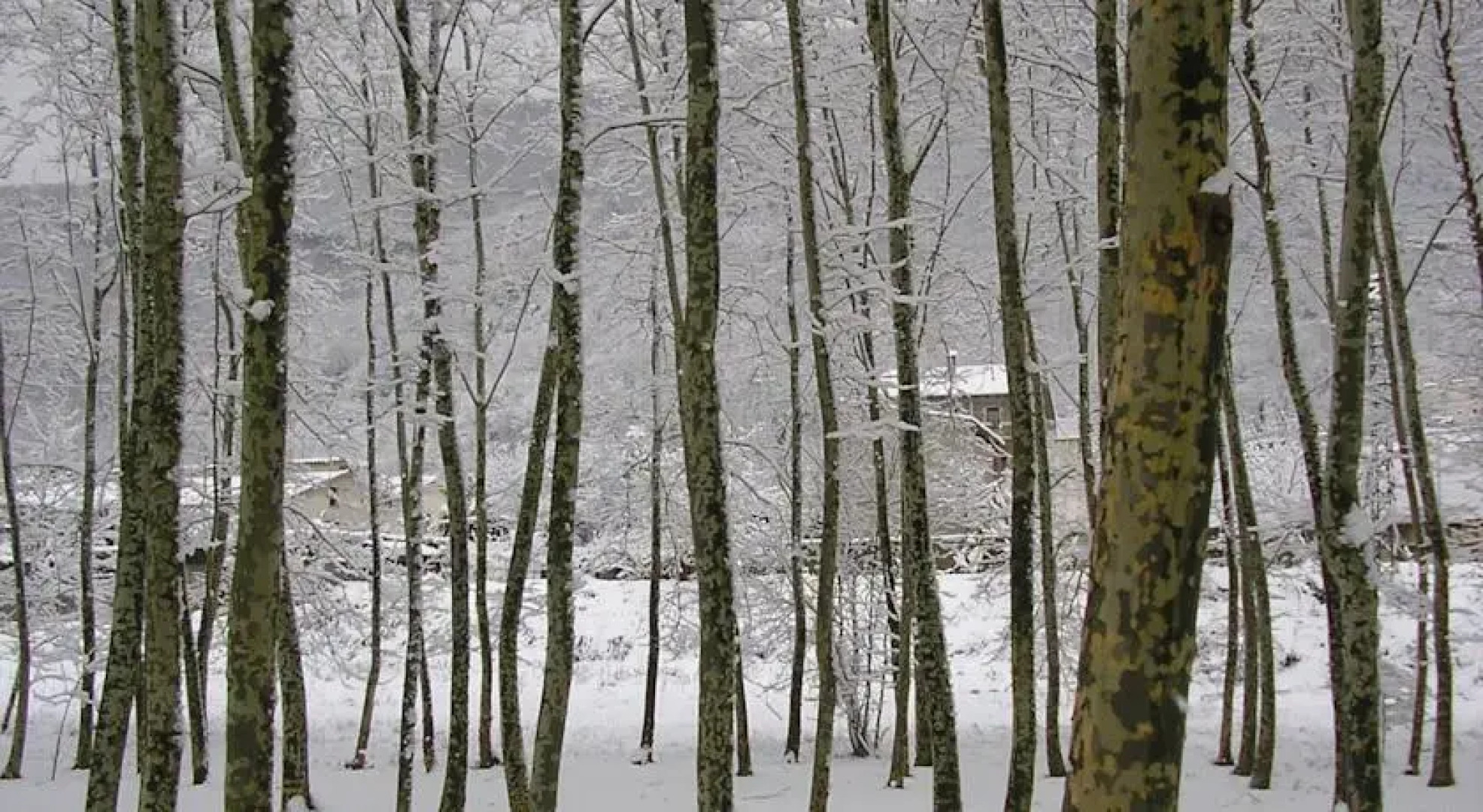 Can Mau de Sant Feliu de Pallerols