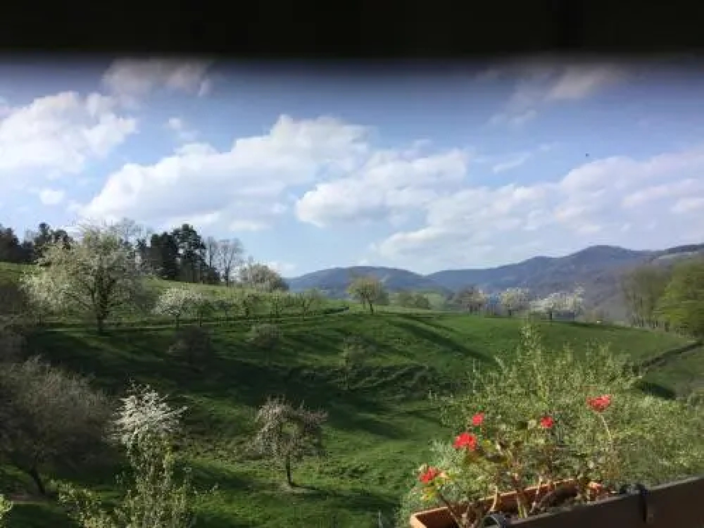 Auberge Du Sobach
