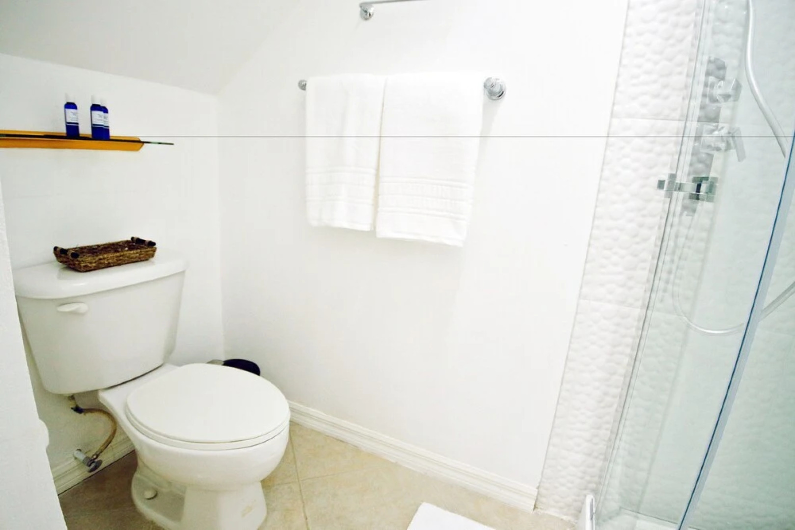 Cattleya's Blue Suite