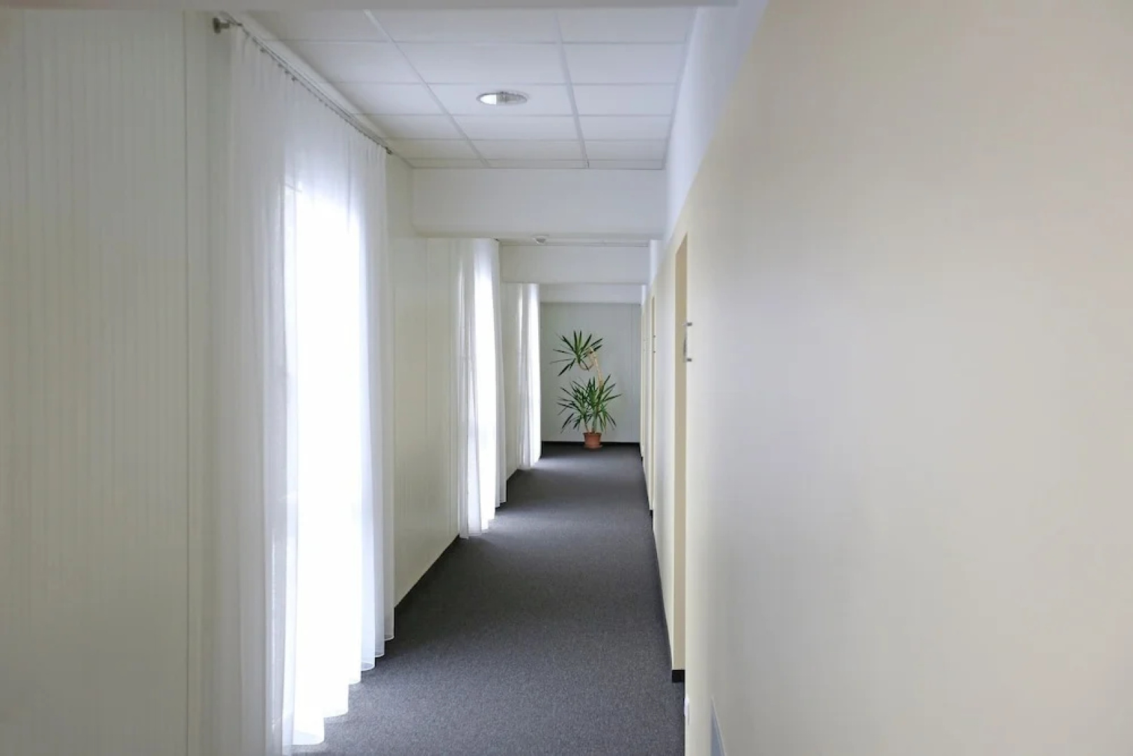 Montagehotel Business & City