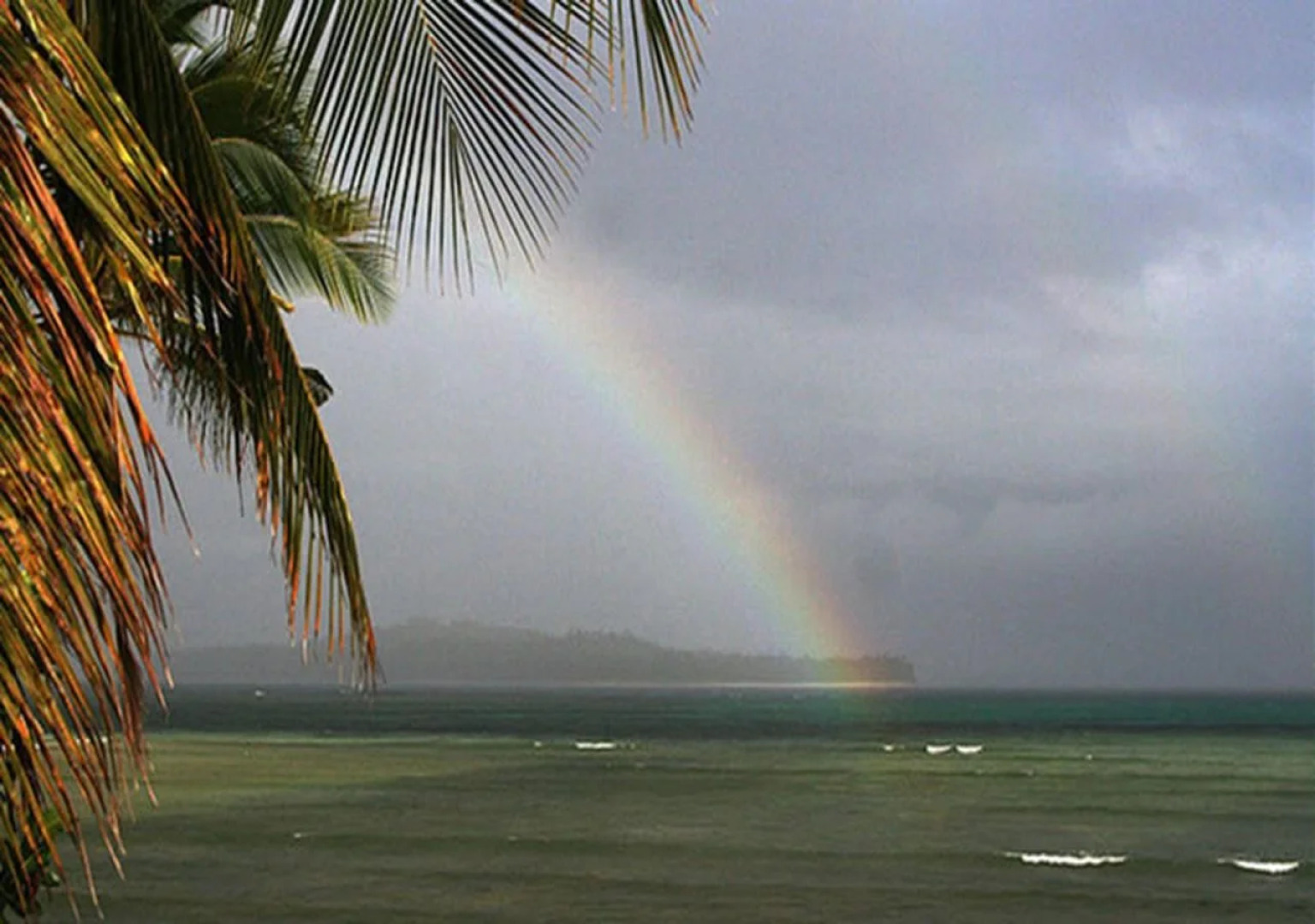 Tarzans Beach Resort