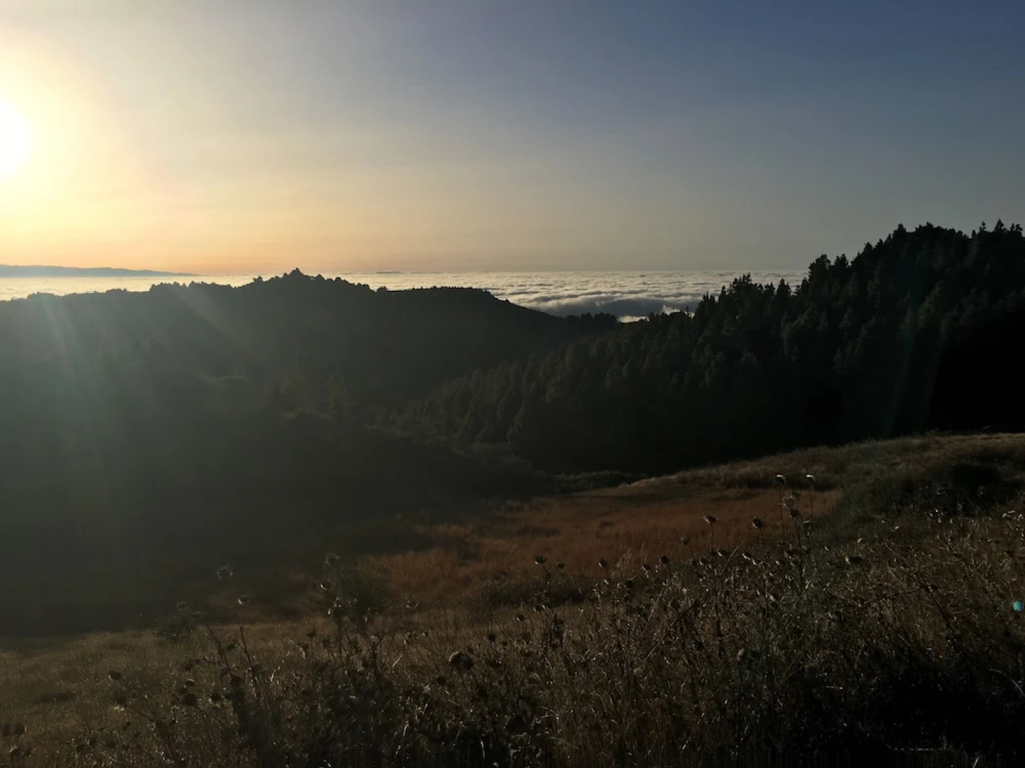 Aromas en Fontanales