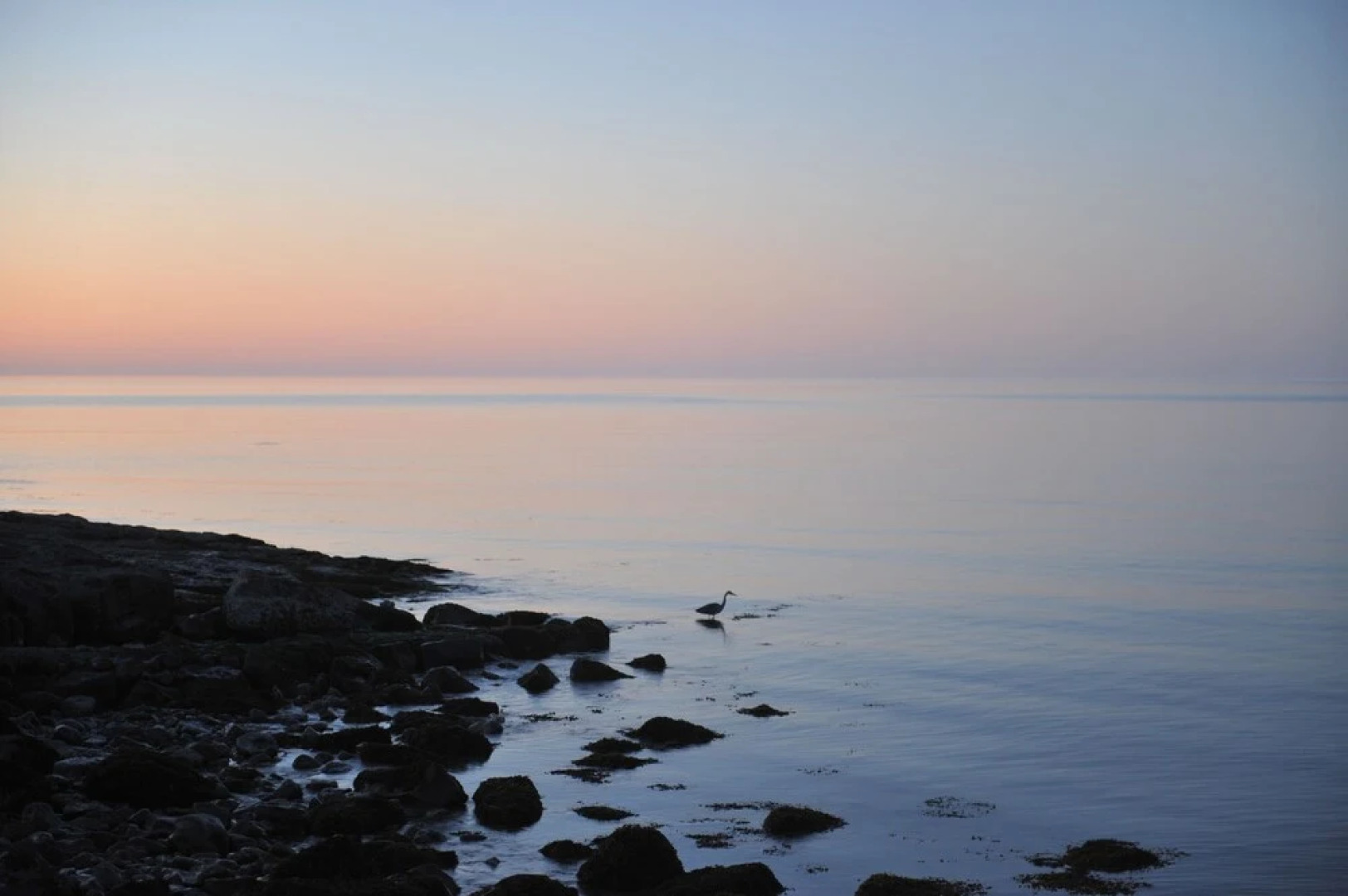 Sea View Guest House