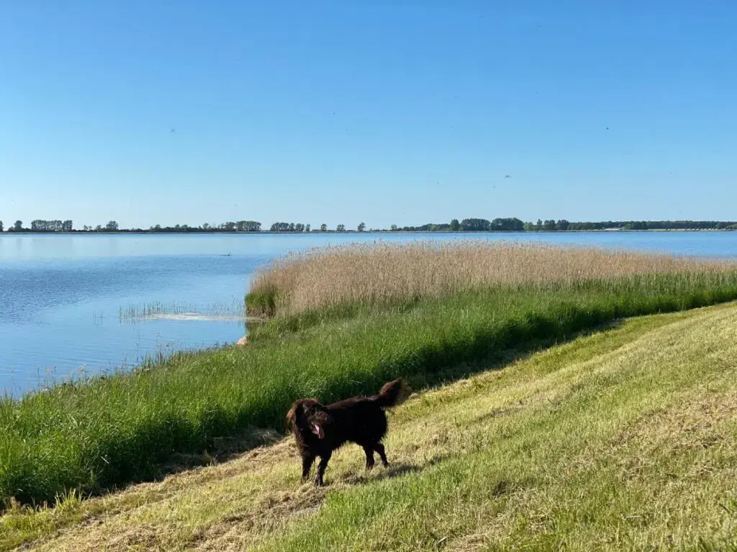 Rï¿½gen-Ferienhof