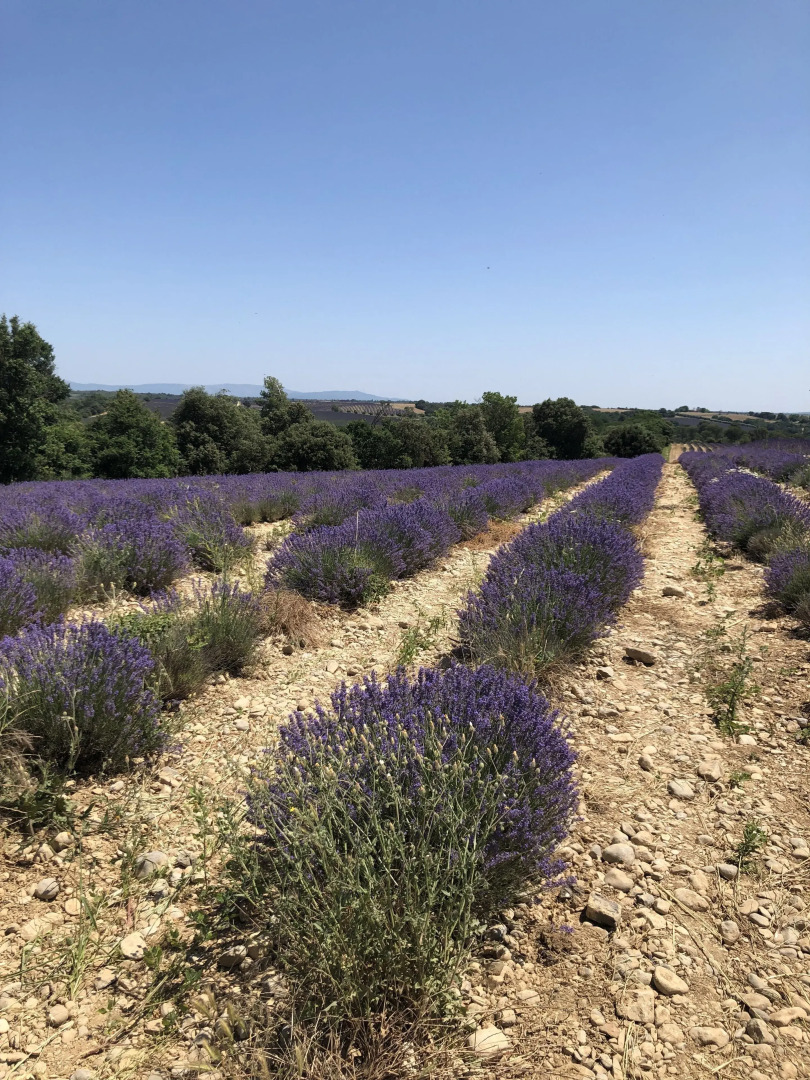 Holiday Home Reillanne I