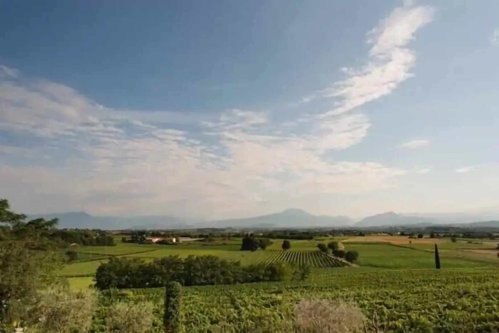 Agriturismo Panorama