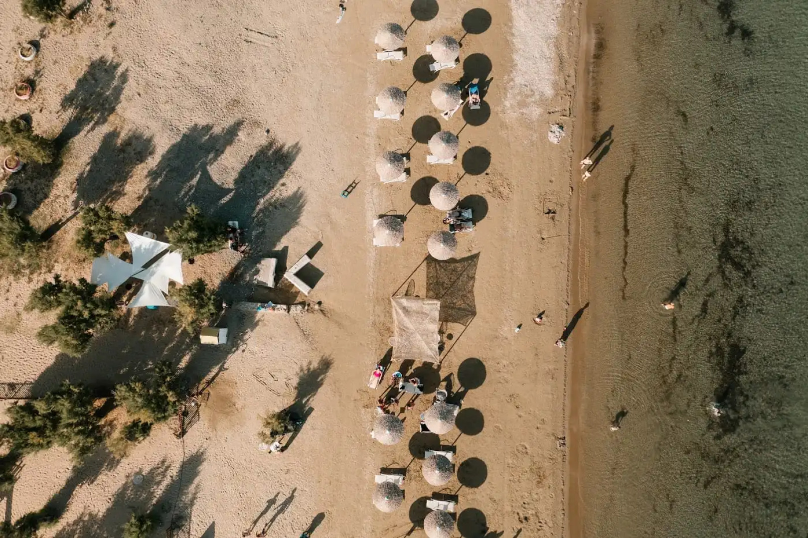 Filanthi The Project