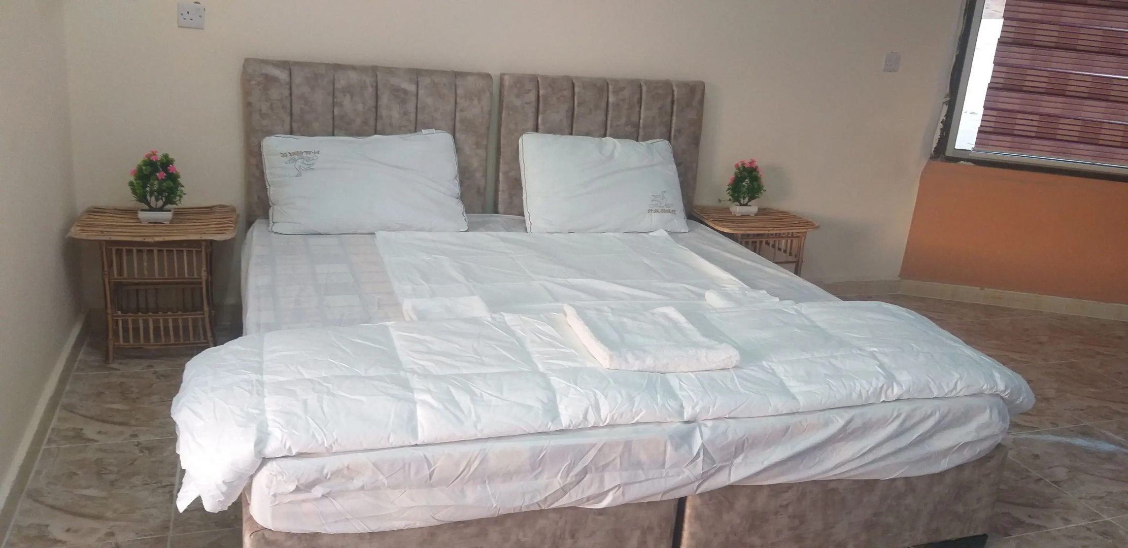 Wadi Rum Stars Hostel