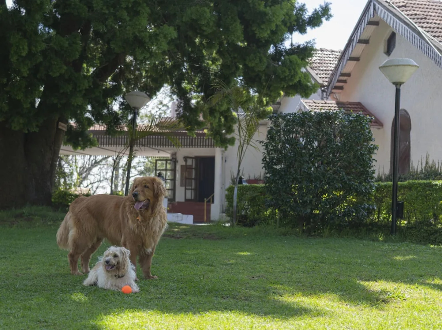 Gateway Coonoor - IHCL SeleQtions