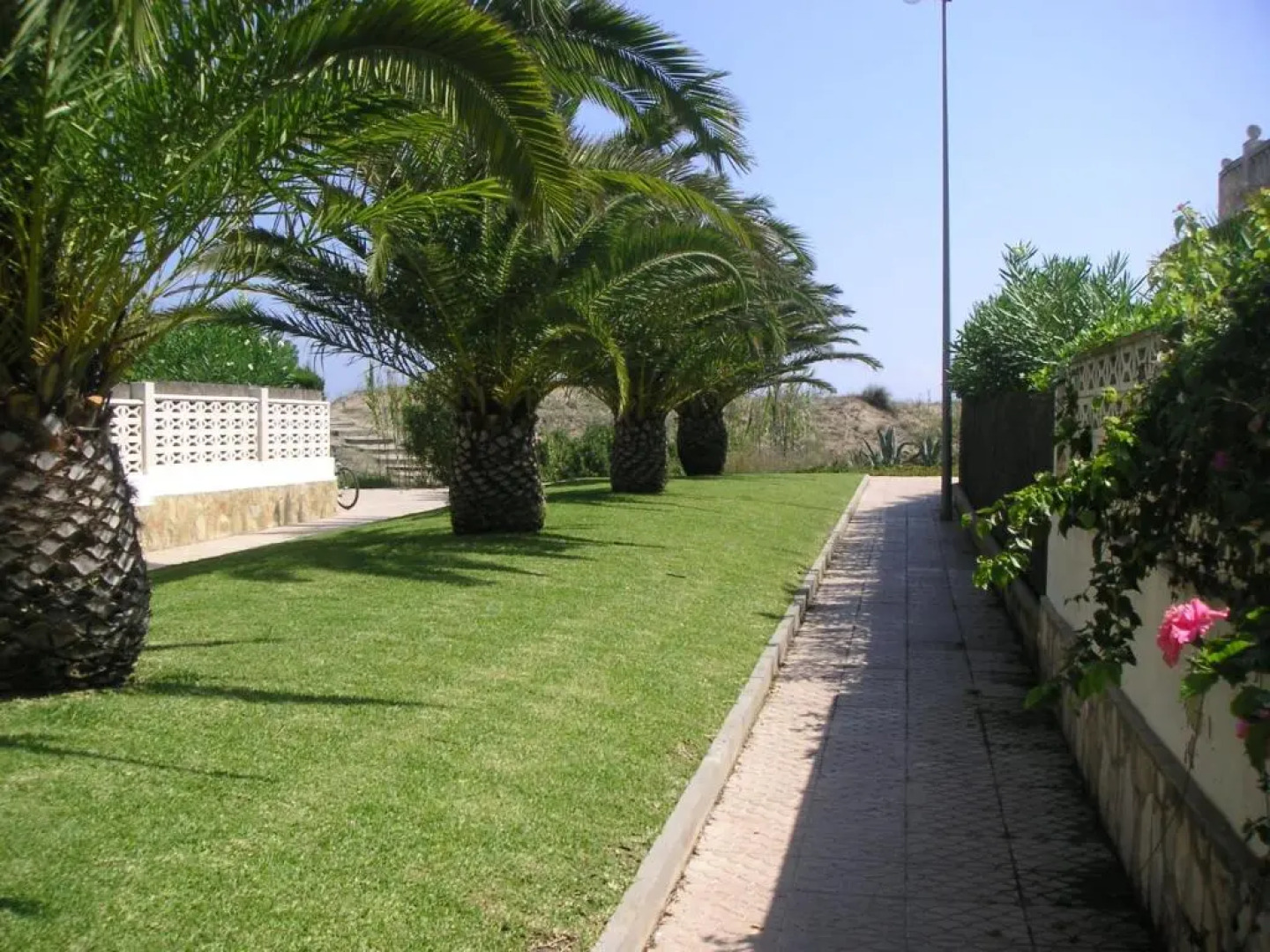 Frente al Mar - Velazquez