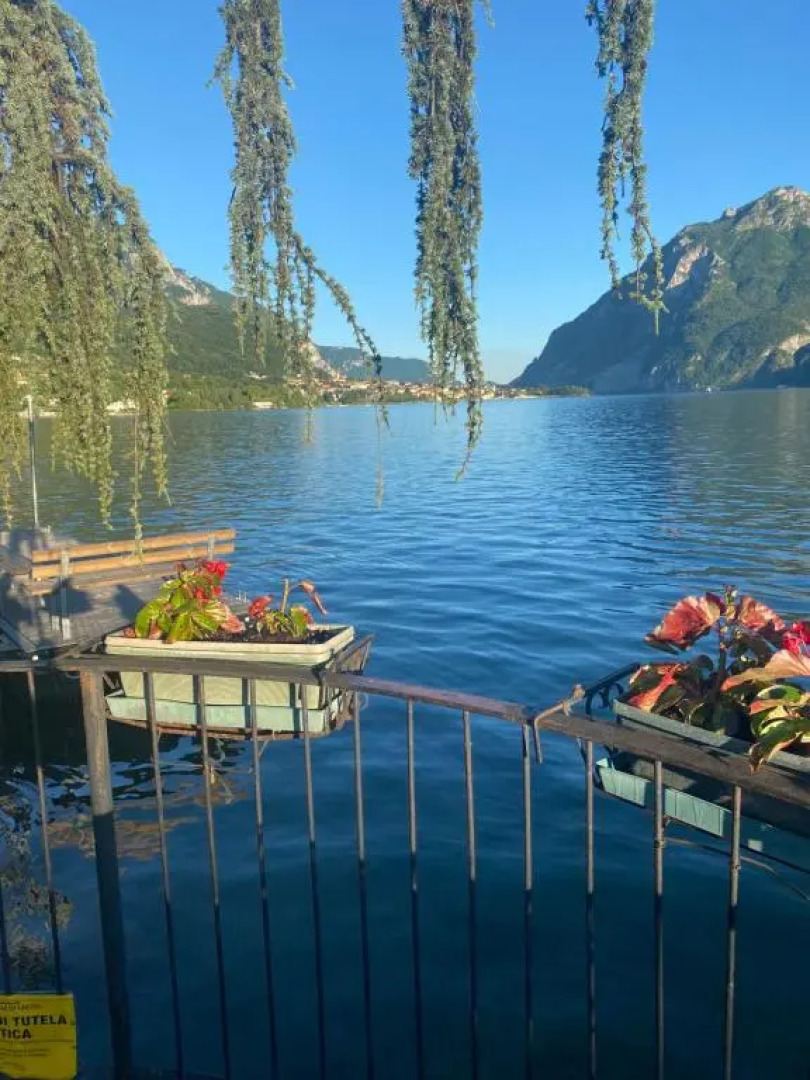 Alexa House front Lake