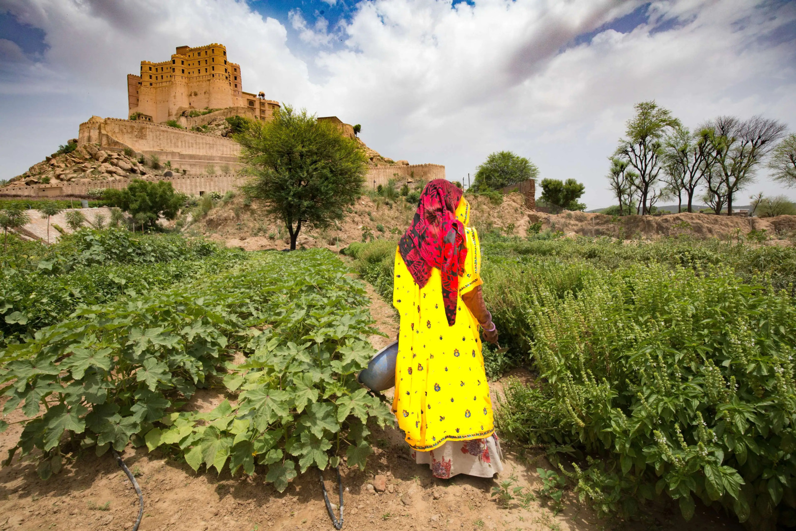 Alila Fort Bishangarh - A Hyatt brand