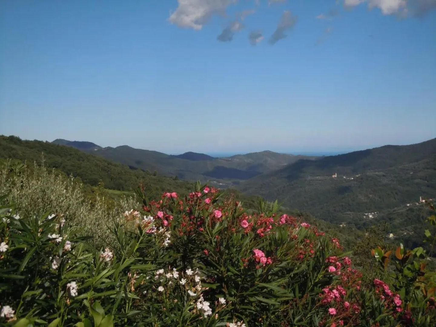 Casa Romantica in Liguria