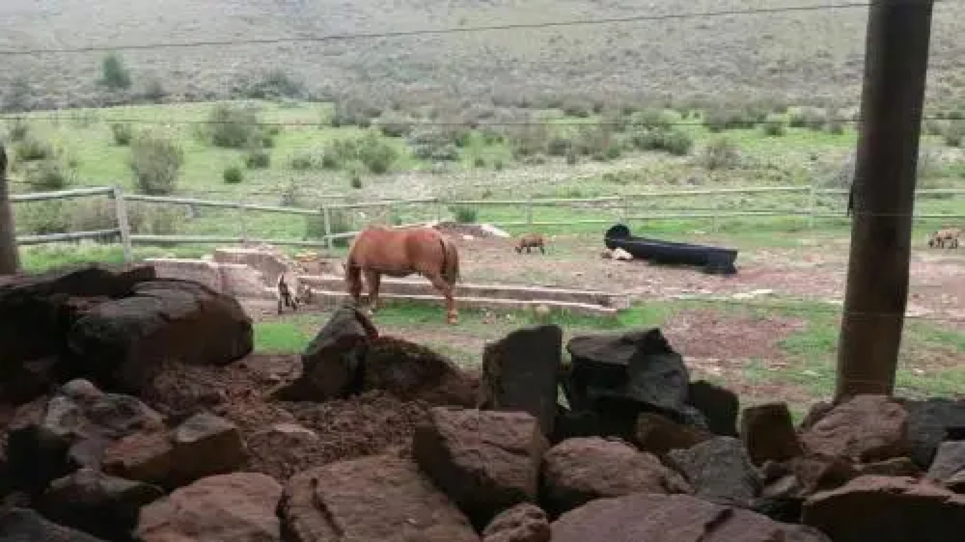 Hops Hollow Country House