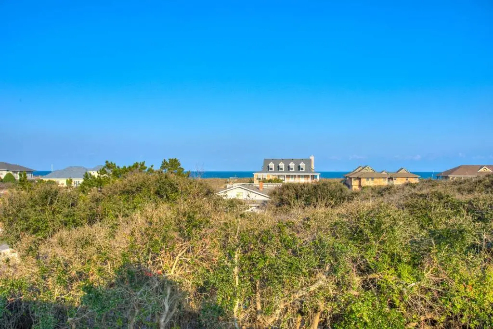 3068 - Carolina Sunshine