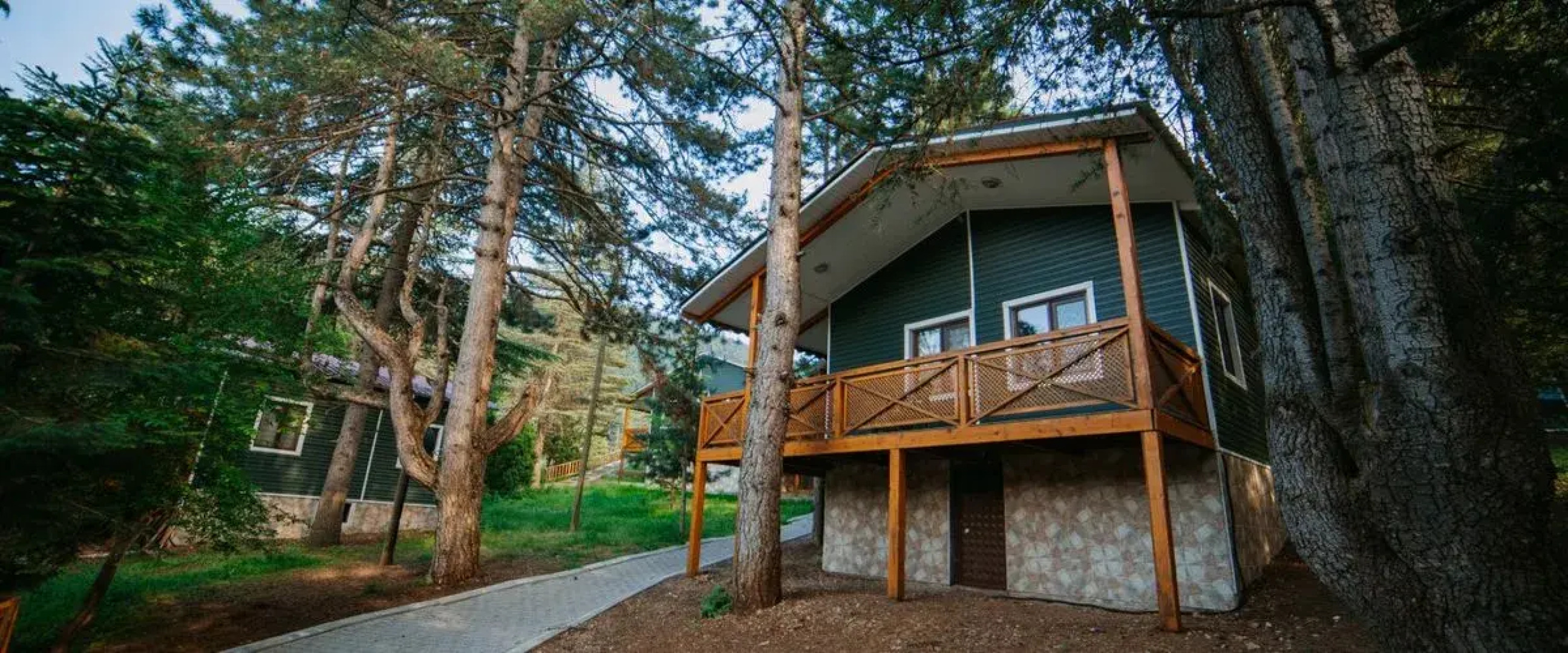 Başkonuş Yaylası Orman Evleri