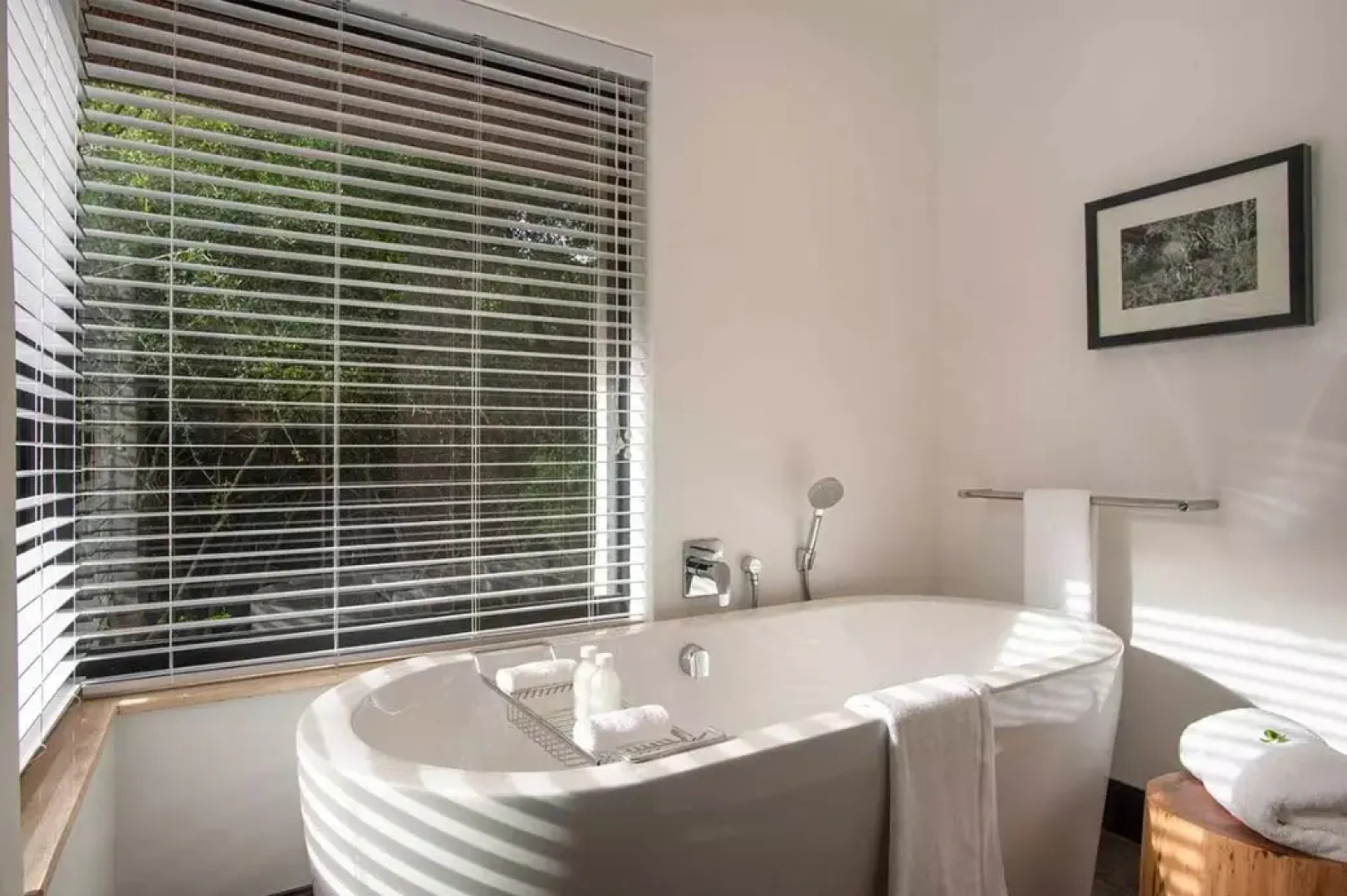 Shamwari Eagles Crag