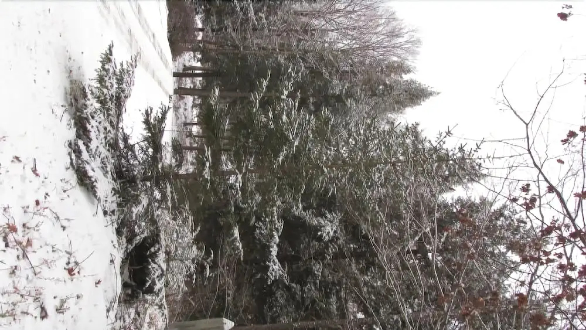 The Pond House Inn at Shattuck Hill Farm