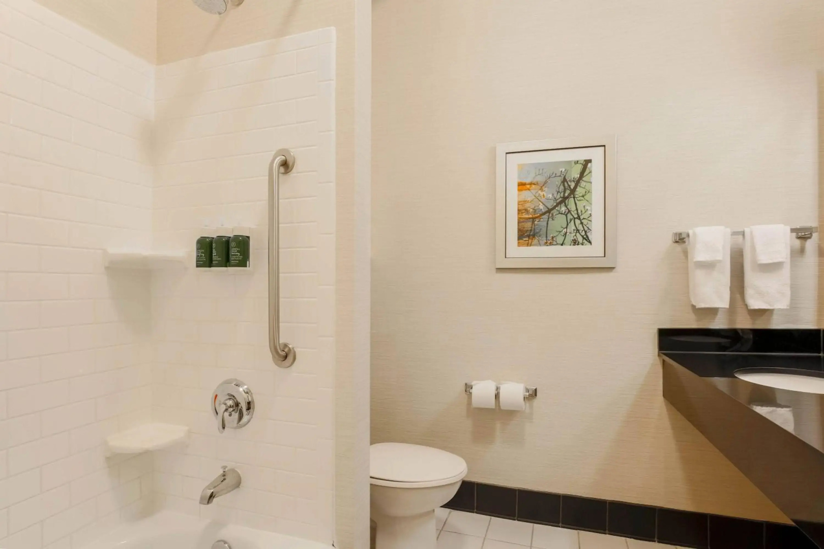 Fairfield Inn & Suites by Marriott Tampa Fairgrounds/Casino