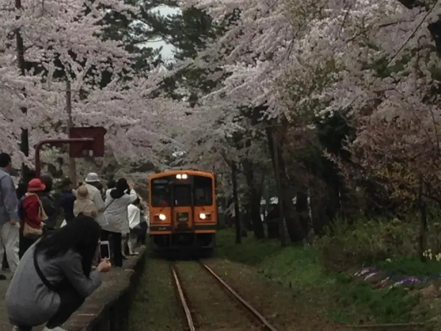 Park Inn Goshogawara Elm City