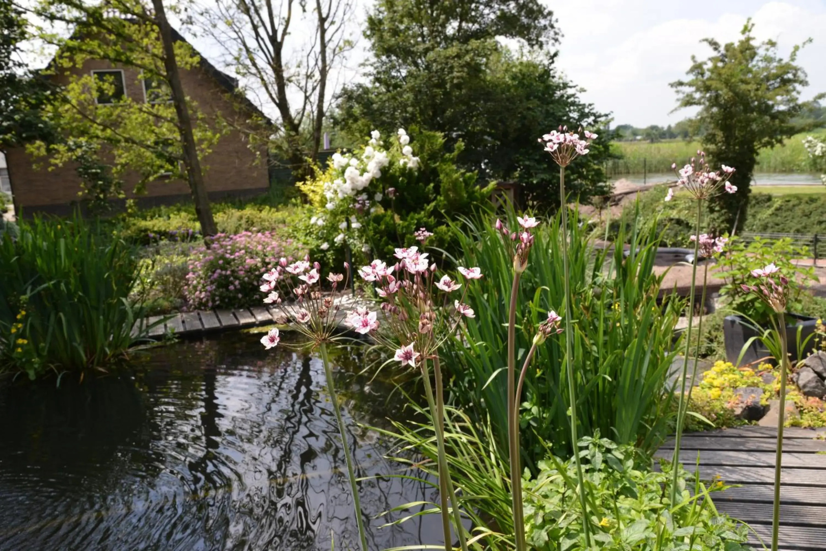 Guest House Aan de Hollandse IJssel