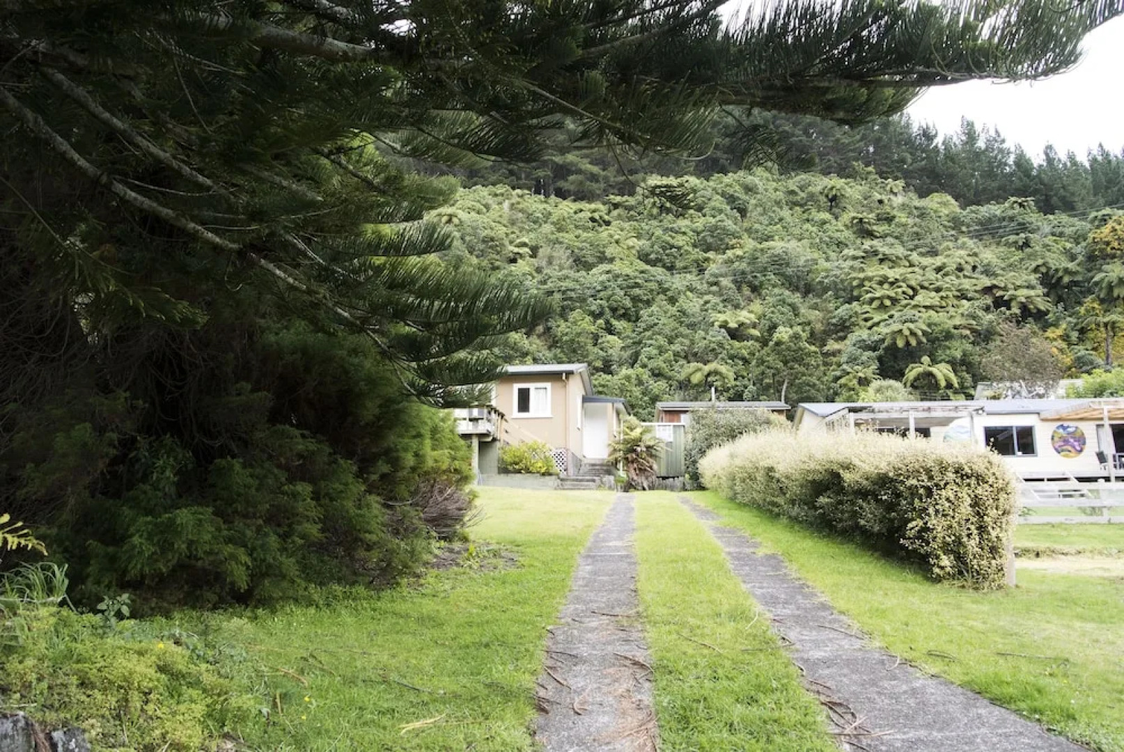 Lake Rotoma Kiwi Bach