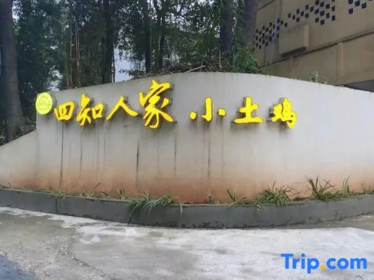 Yibin Shunan Bamboo Forest Sizhi Farm Stay