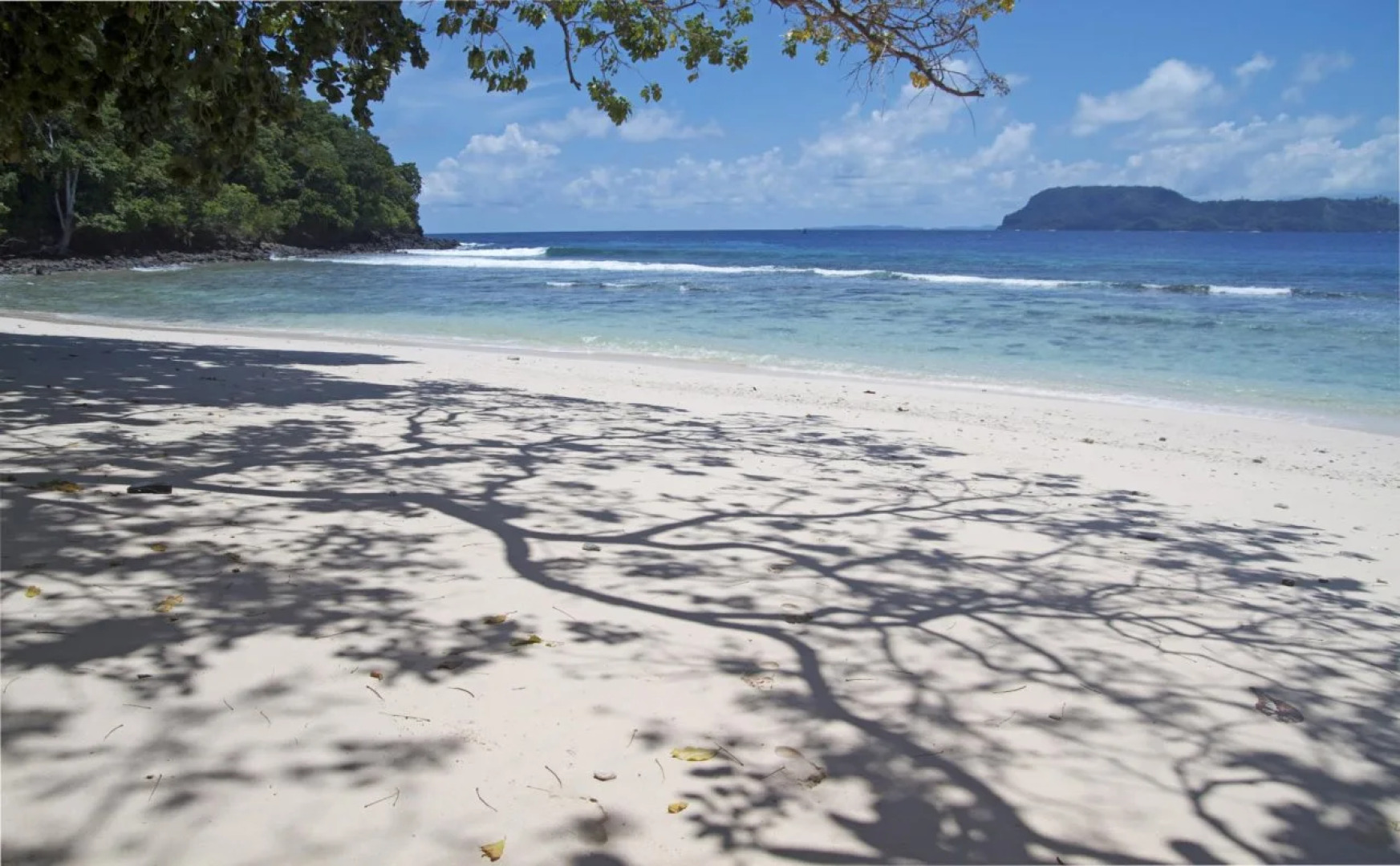 Murex Bangka Dive Resort