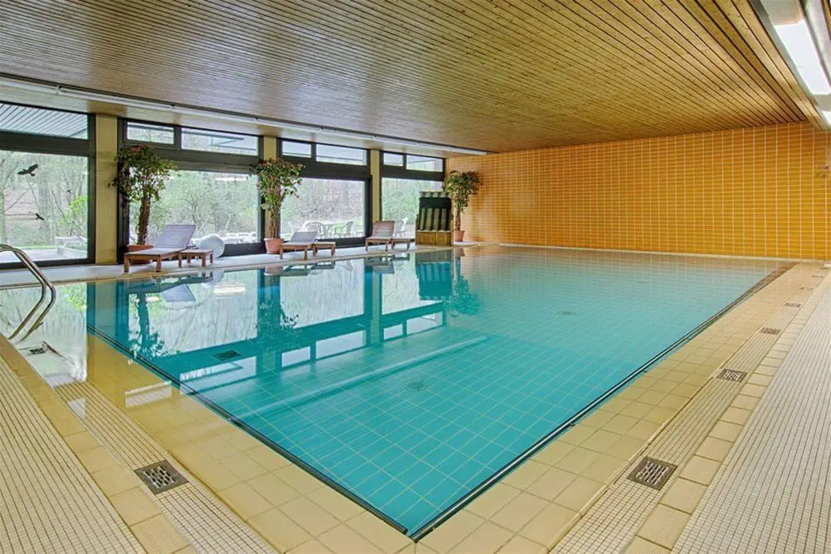 Arcadia Hotel Schwaghof Bad Salzuflen