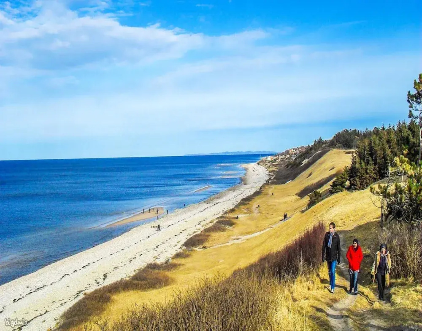 16 Person Holiday Home in Vejby