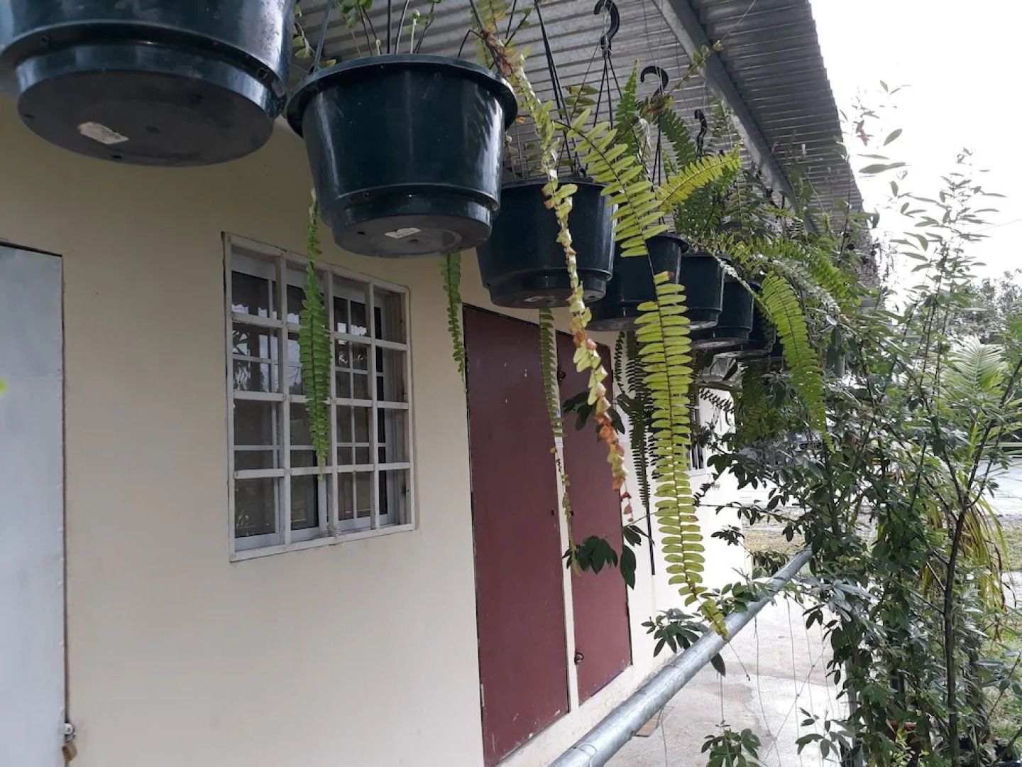 Hostal Brisas Calobreñas