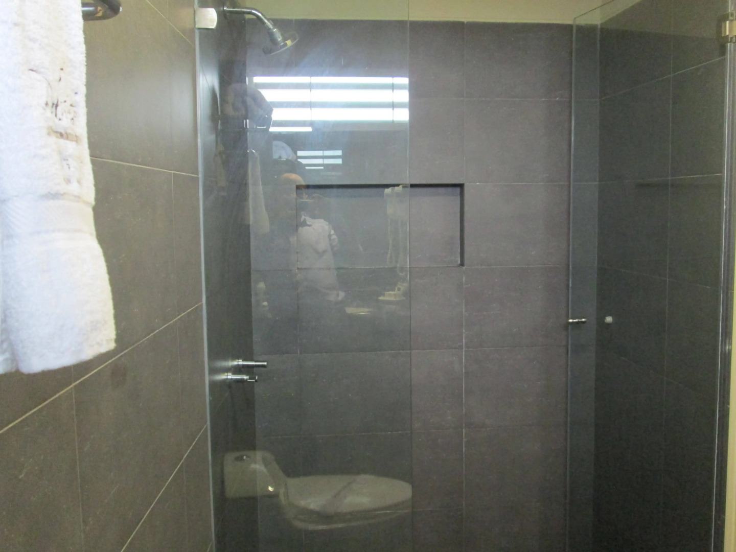 Palmetto Hotel Business San Miguel