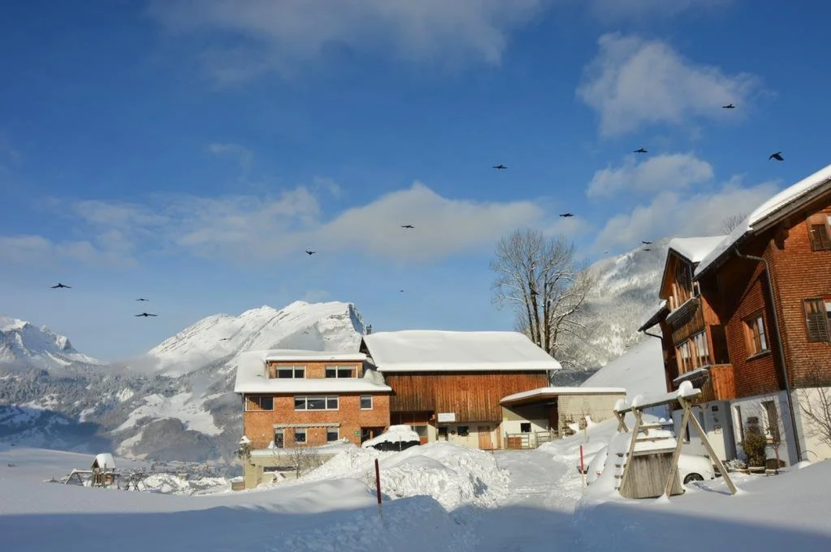 Appartments Haus Monika