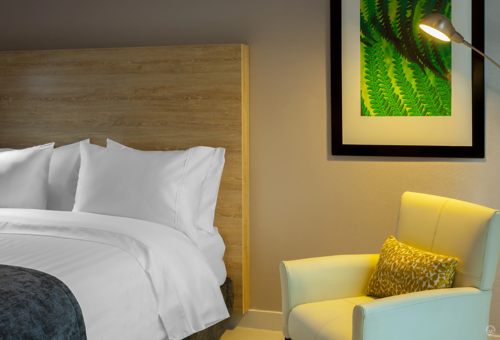 Hotel Sky Collection Barranquilla