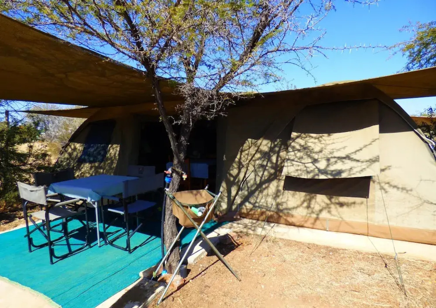 Thorn Tree Bush Camp