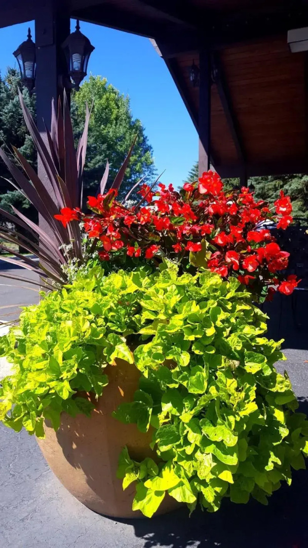 The Inn at Tomichi Village