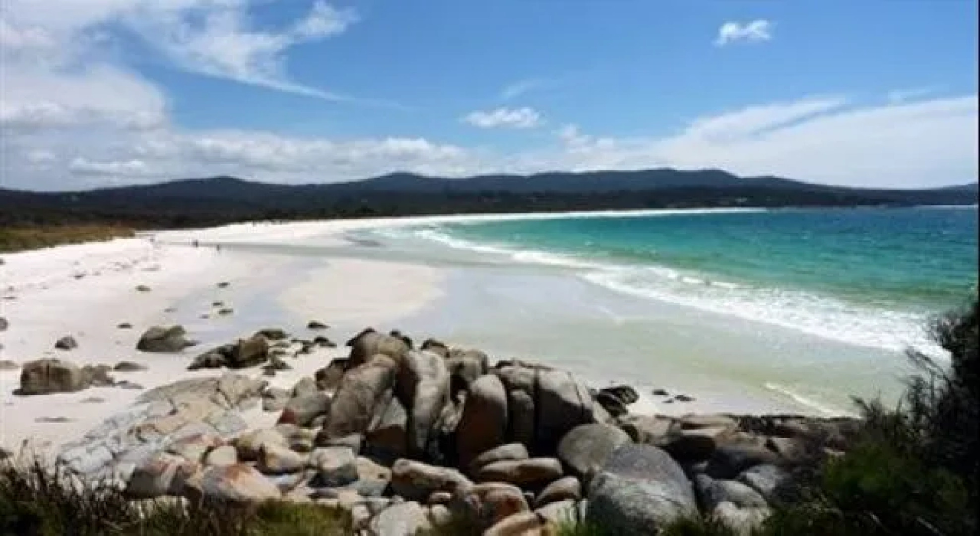 Bed in the Treetops Bed & Breakfast