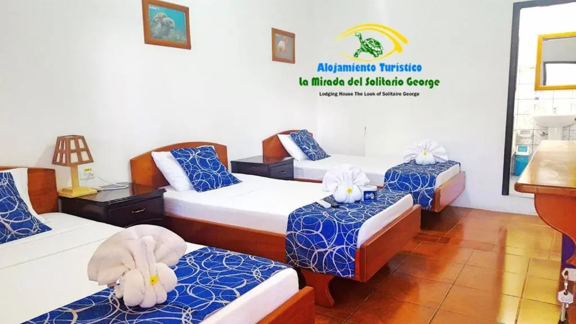 La Mirada De Solitario George