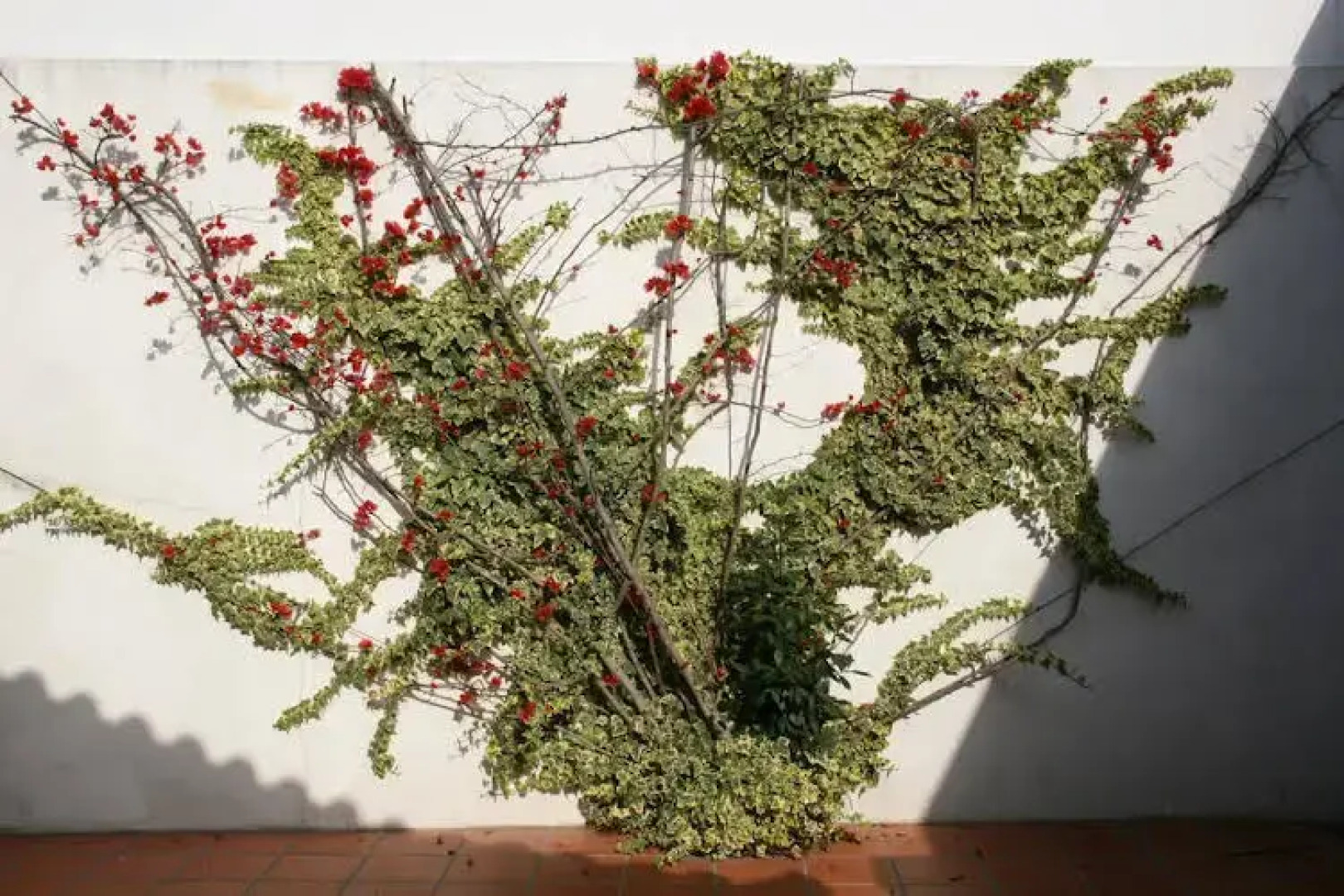 Vale de Rans - Turismo Rural