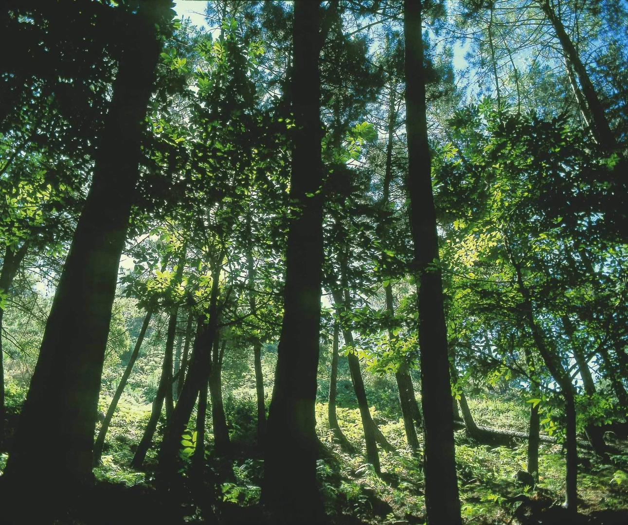 Hotel El Refugio de Juanar