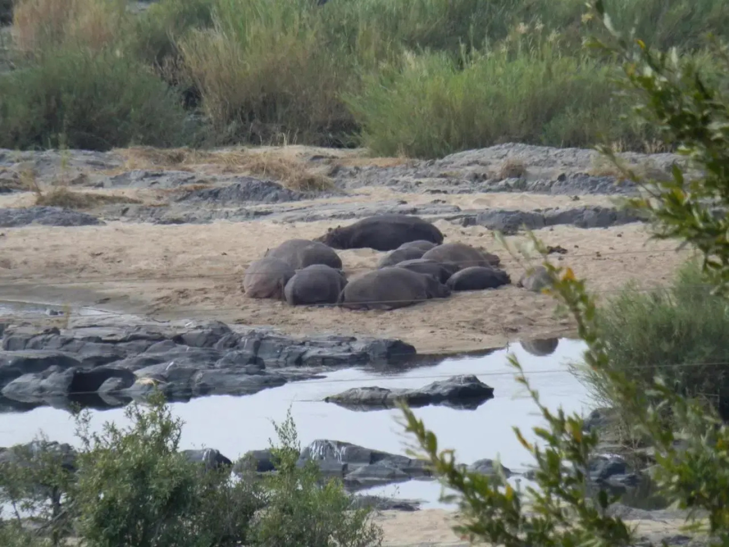 Villa Too Kruger Lodge