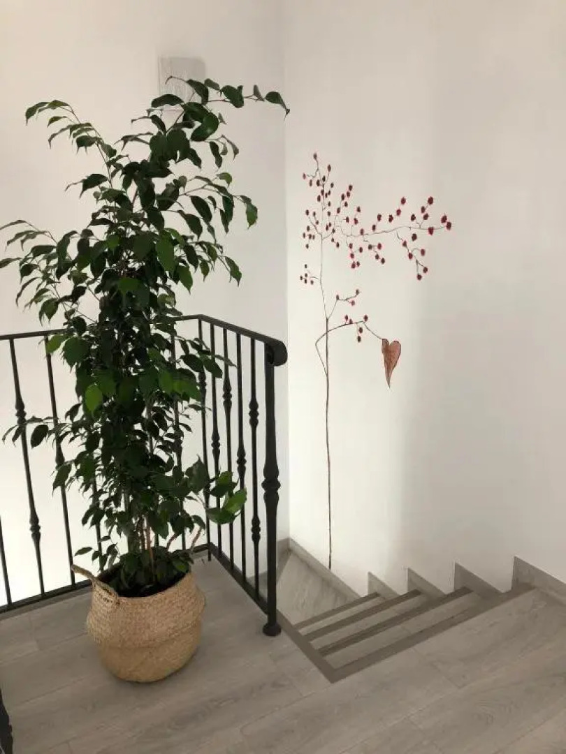 Las Casetas de Mateu