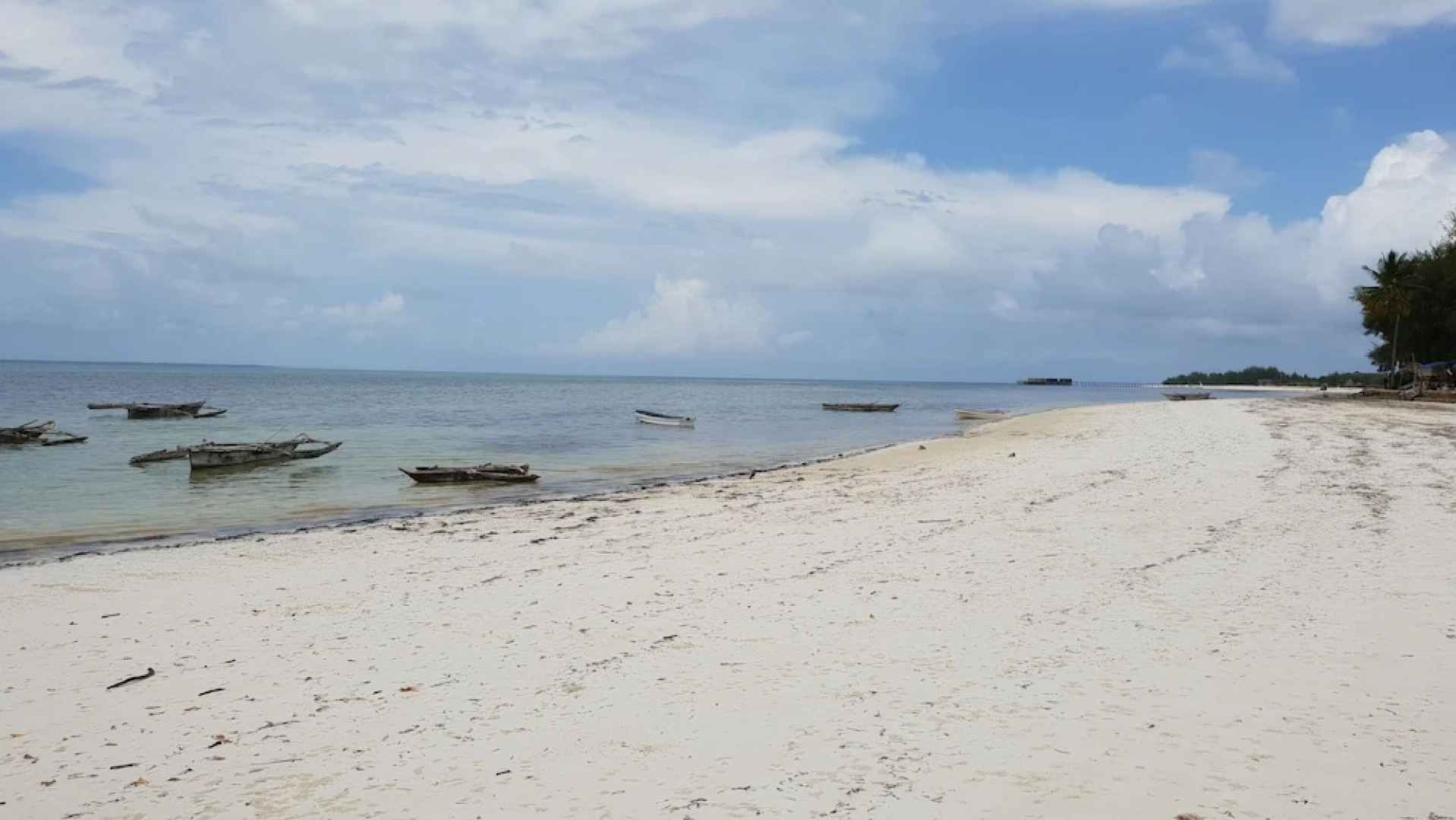 Zanpalm Boutique Hotel