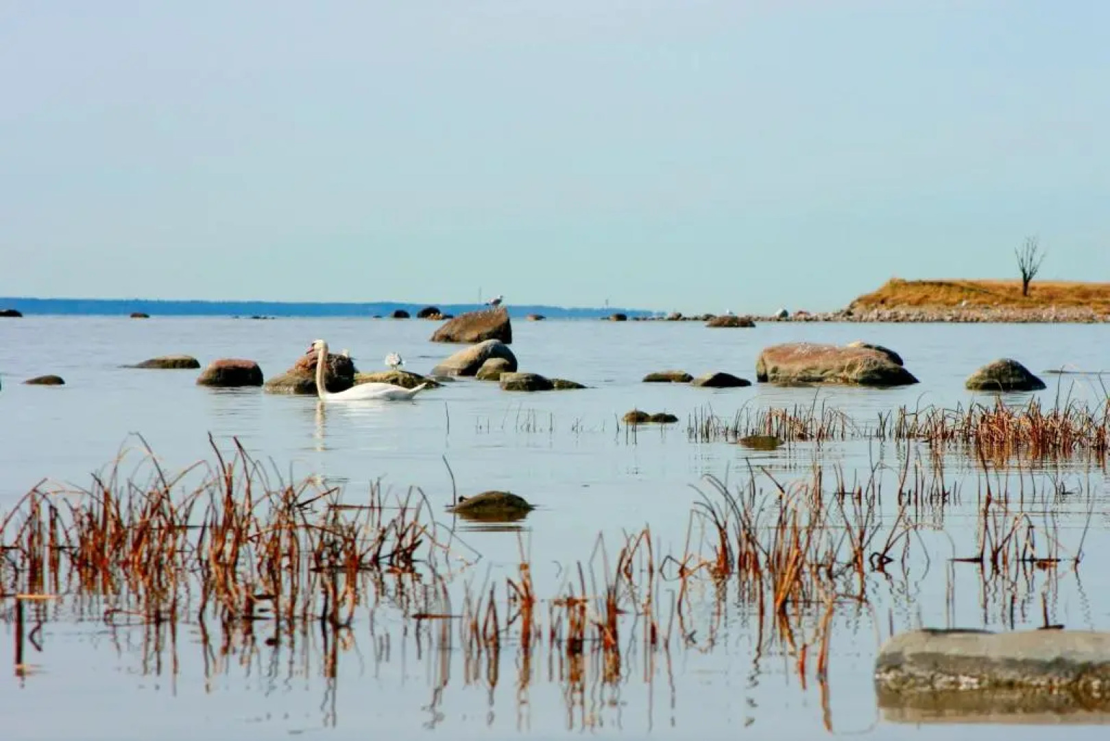 Комплекс Tallinn Viimsi SPA