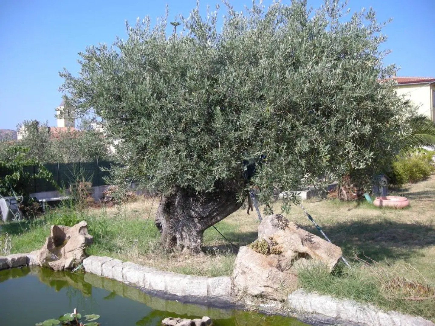 Bed and Breakfast Perla