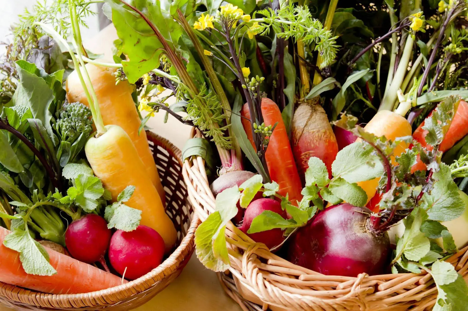 Yugawara Retreat Goen no Mori