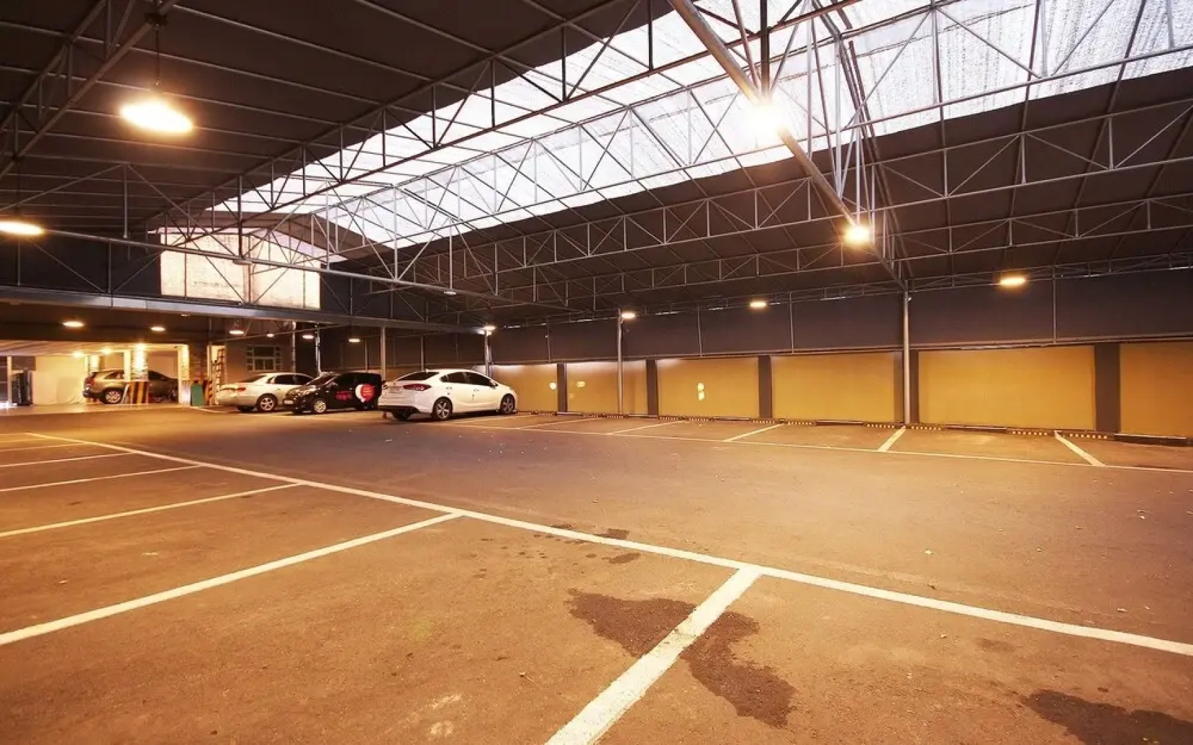 Daegu Bible Summer Time