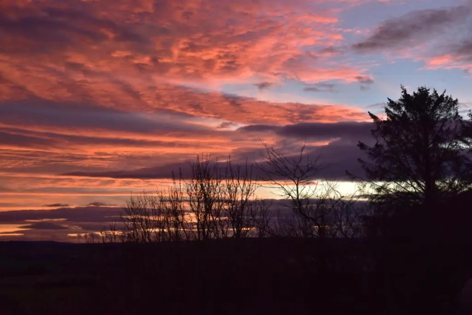 Chapelhill Croft Farmhouse B&B